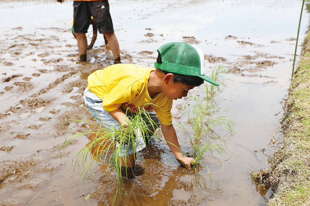 ぱーぷるmirai VOL.46 秋号